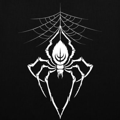 Spinne im Netz